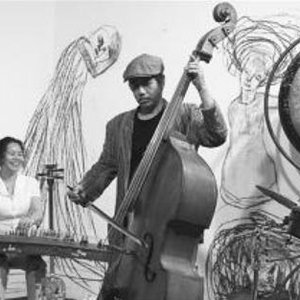 Günter Baby Sommer Percussion & Strings 的头像