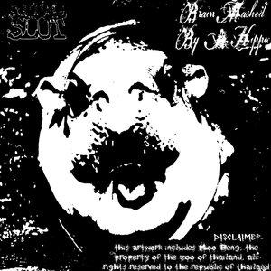 Brain Mashed By A Hippo - Single