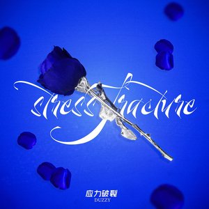 应力破裂