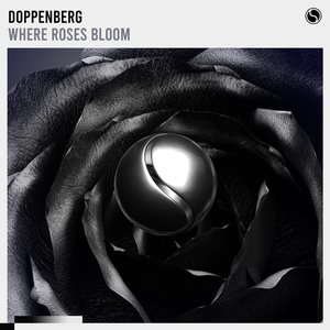 Where Roses Bloom