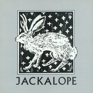 Jackalope