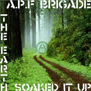 The Earth Soaked It Up