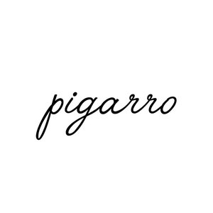 PIGARRO 的头像