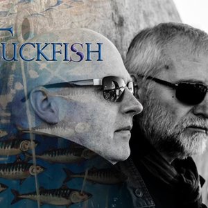 Аватар для StuckFish
