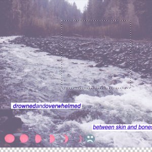 “between skin and bones”的封面