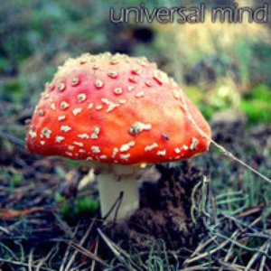 The Motherload - Universal Mind Full Discography