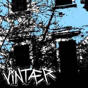 Vintaer 的头像