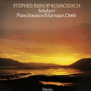 Bild für 'Schubert: Piano Sonata in B flat major'