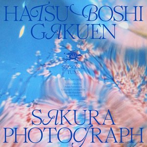 Sakura Photograph
