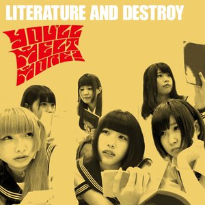 Literature And Destroy