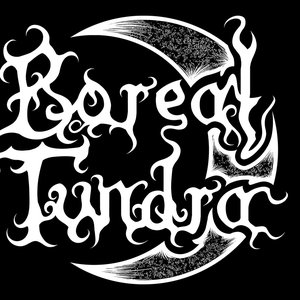 Boreal Tundra 的头像