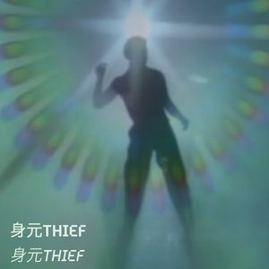 身元THIEF 的头像