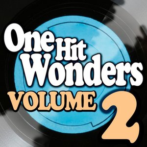 One Hit Wonders - Vol. 2