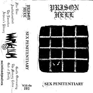 Sex Penitentiary