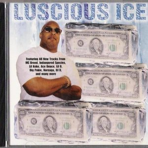 Luscious Ice 的头像