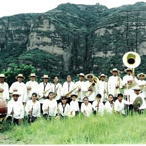 Image for 'Banda De Tlayacapan'