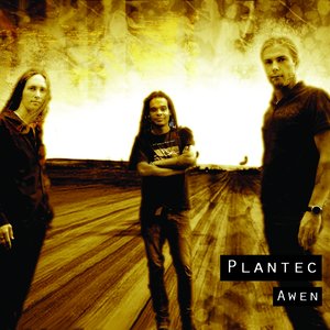 “Awen”的封面