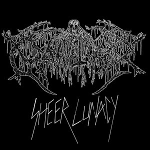 Sheer Lunacy