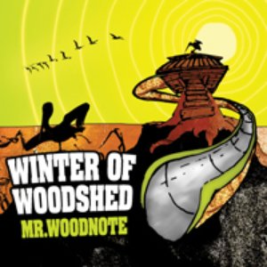 Winter Of Woodshed