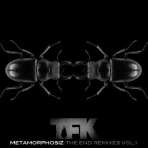 Image for 'Metamorphosiz: The End Remixes, Vol. 1'