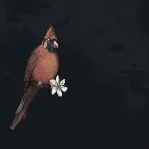 Flyweight - Single