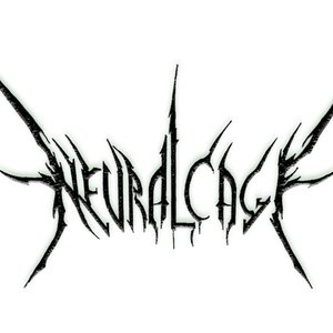 NeuralCage 的头像