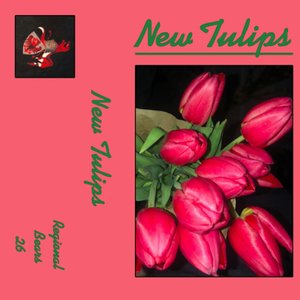 New Tulips