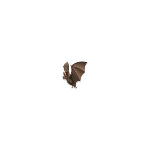 New D0pe - Single