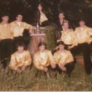 Orchestra Spettacolo Raoul Casadei 的头像