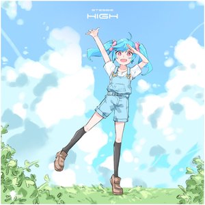 High - Single