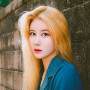 허니비 的头像