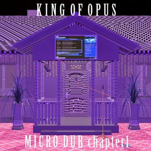 Micro Dub Chapter 1