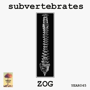 Image for 'Subvertebrates'