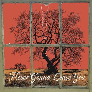 Never Gonna Leave You