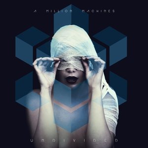 Undivided