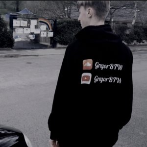 GregorBTW 的头像