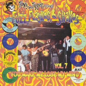 Fuzz, Flaykes & Shakes, vol. 7