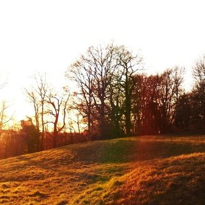 “Golden Hours”的封面