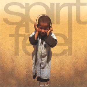 “Spirit Feel”的封面