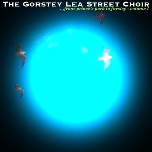 '...from Prince's Park to Farsley (Volume I)'