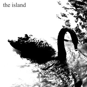 “swan”的封面