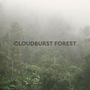 Cloudburst Forest Rain