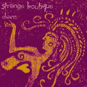 Charm cover
