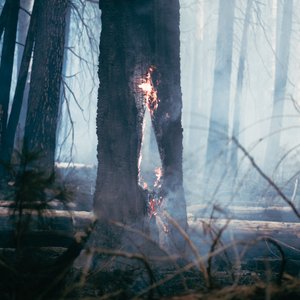 Hollow Fire