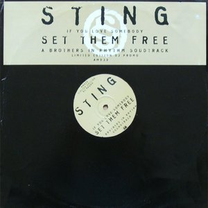If You Love Somebody Set Them Free (A Brothers in Rhythm Soundtrack)