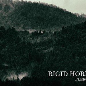 Pleroma