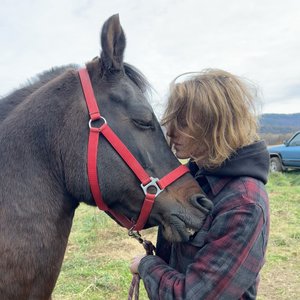 Avatar for Jonah Paz