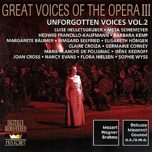 Unforgotten Voices (Vol.2)