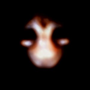 Avatar for Evolux