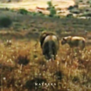 Die Höhle der Lover_demo - Single